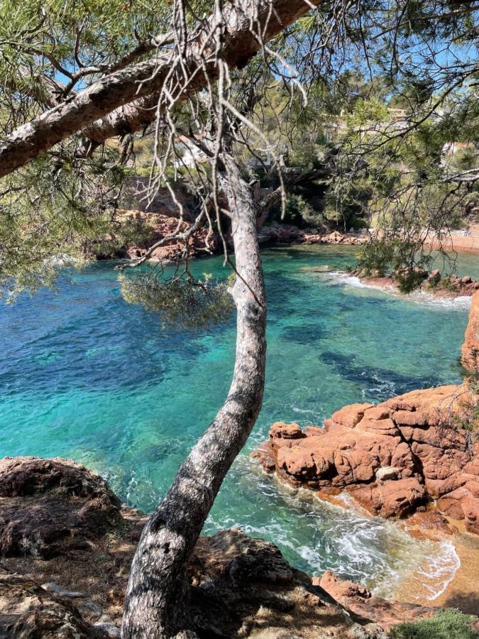 Hotel Le Flore Fréjus Eksteriør bilde
